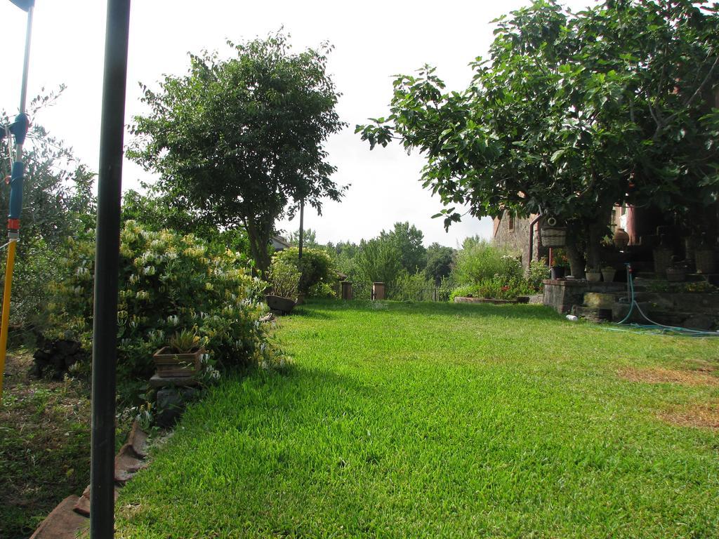 Villa Domus Vini à San Giovanni La Punta Chambre photo