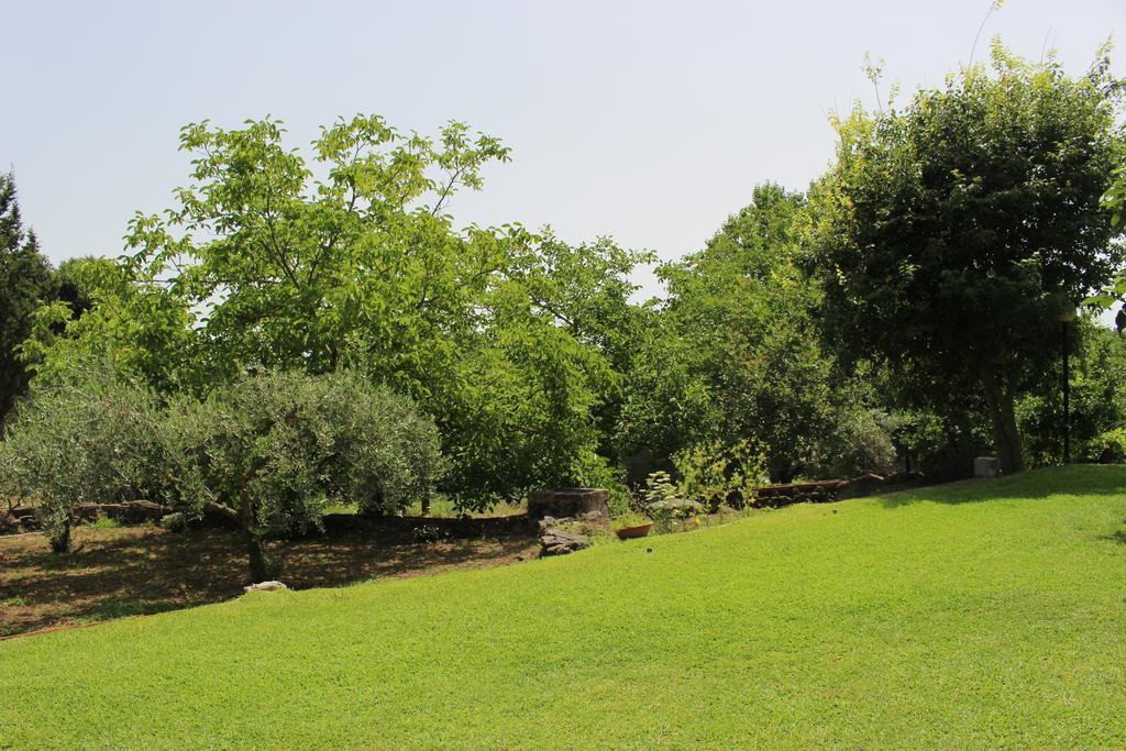 Villa Domus Vini à San Giovanni La Punta Extérieur photo